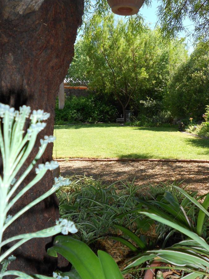 Pane Vivente Garden Cottage Beaufort Wes Buitenkant foto