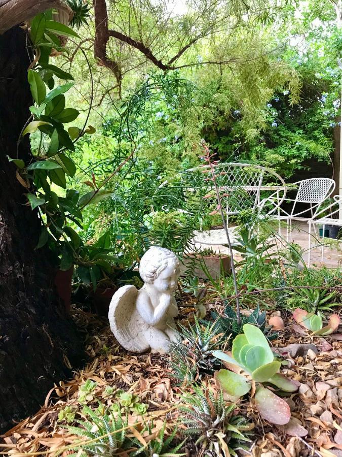 Pane Vivente Garden Cottage Beaufort Wes Buitenkant foto