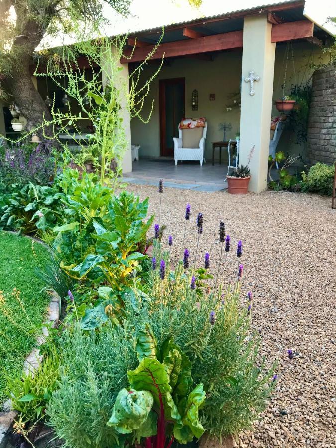 Pane Vivente Garden Cottage Beaufort Wes Buitenkant foto